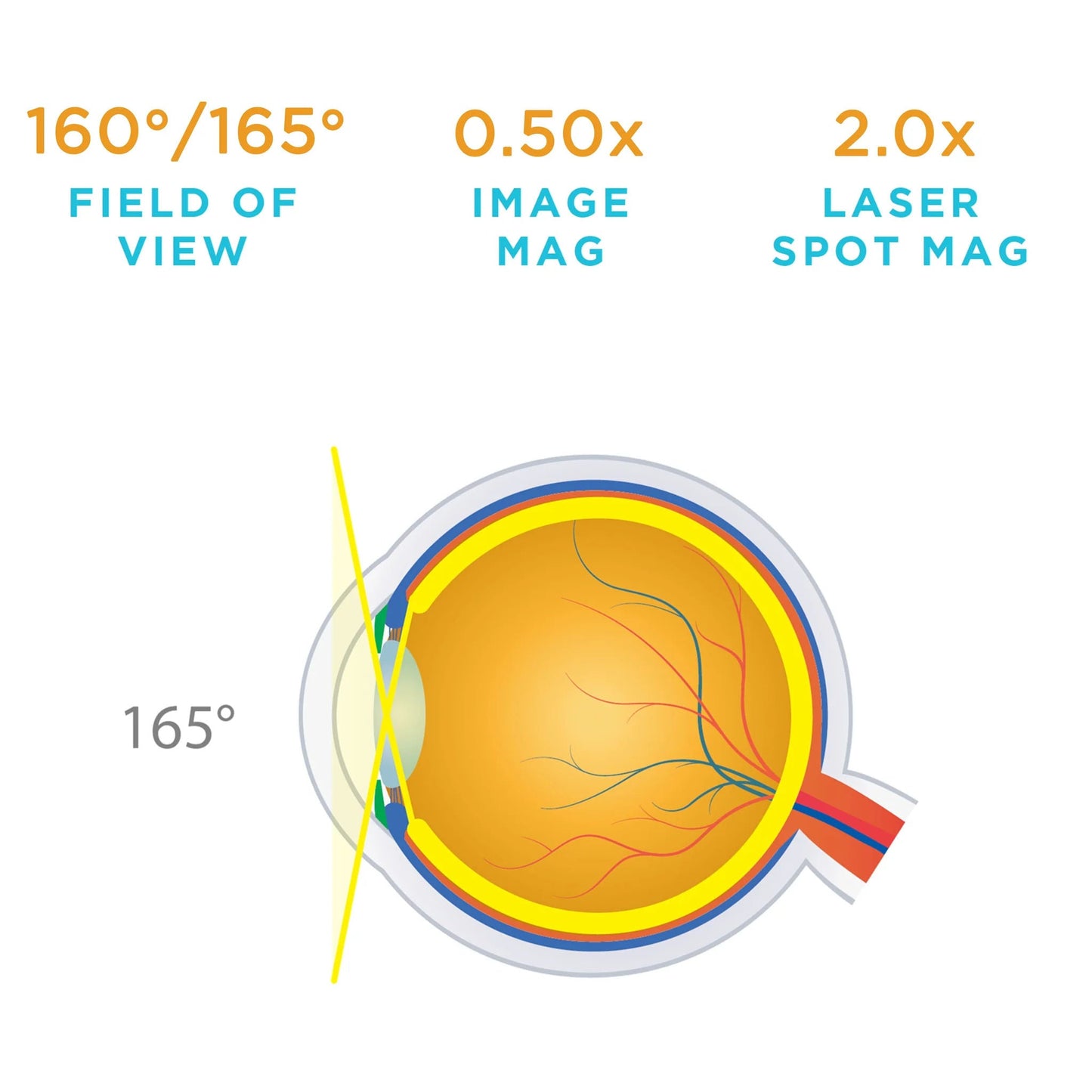 Volk Indirect Contact Slit Lamp Lens Super Quad 160 - With Flange (VSQUAD160)